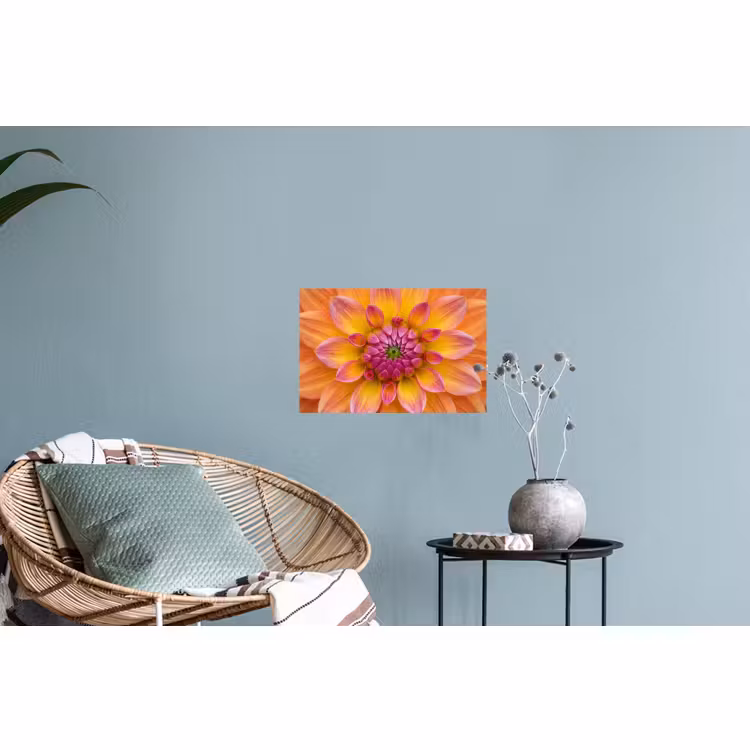 Muursticker - Dahlia - Bloem - Oranje — 4