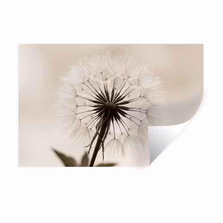 Muursticker - Paardenbloem - Minimalistisch - Wit