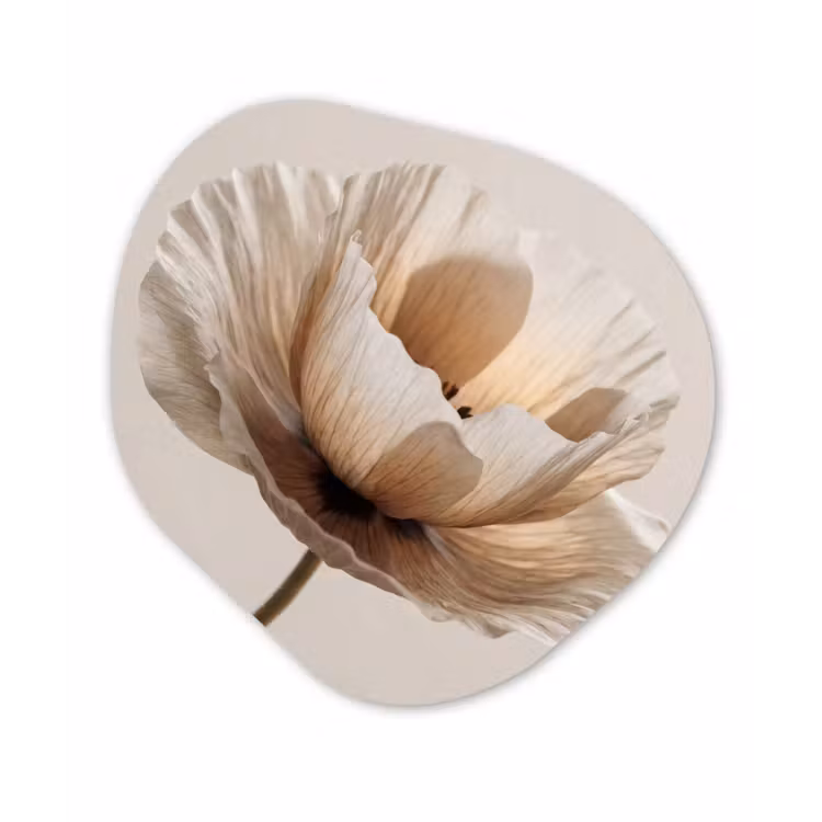 Organische schilderij - Aluminium - Bloem - Beige - Crème