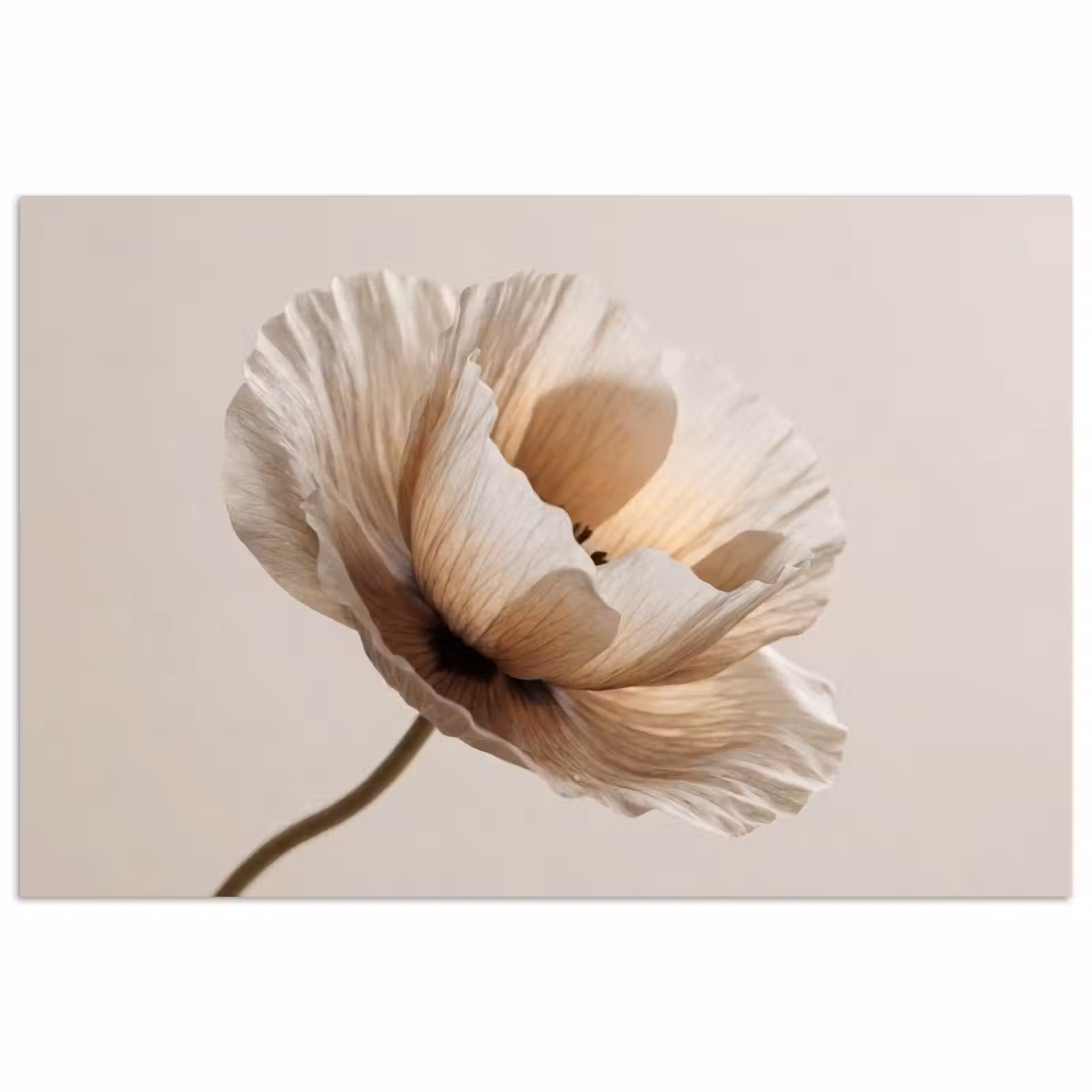 Poster - Bloem - Beige - Crème — 1