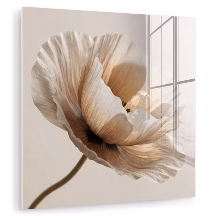 Glas schilderij - Bloem - Beige - Crème