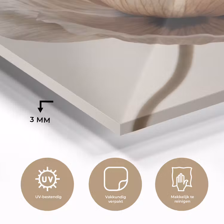 Glas schilderij - Bloem - Beige - Crème — 3