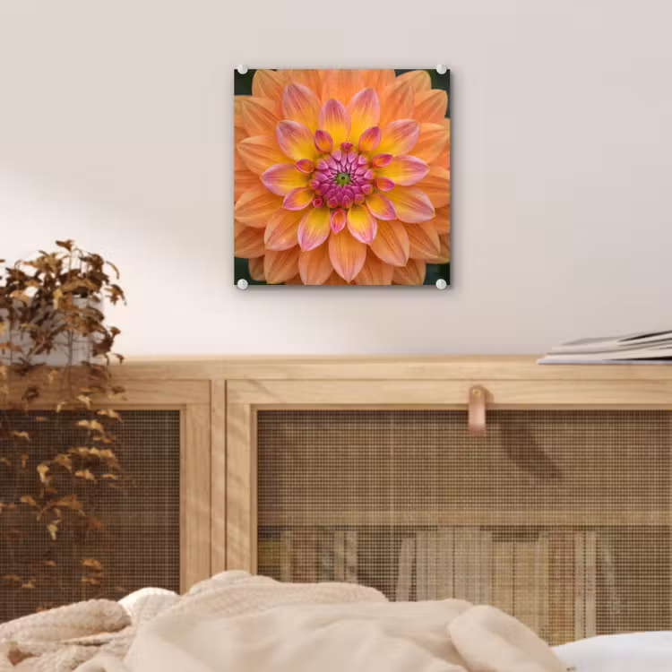 Glas schilderij - Dahlia - Bloem - Oranje — 5
