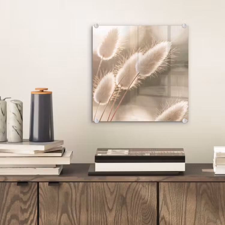 Glas schilderij - Hazestaartgras - Wit - Zonlicht — 2