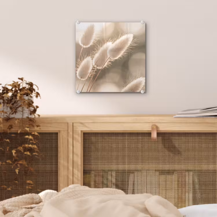 Glas schilderij - Hazestaartgras - Wit - Zonlicht — 5