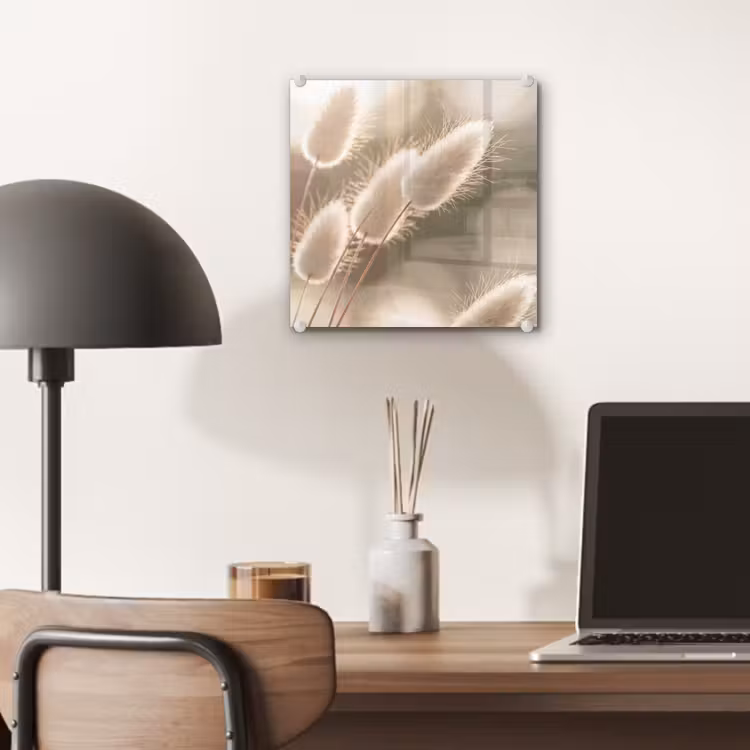 Glas schilderij - Hazestaartgras - Wit - Zonlicht — 7