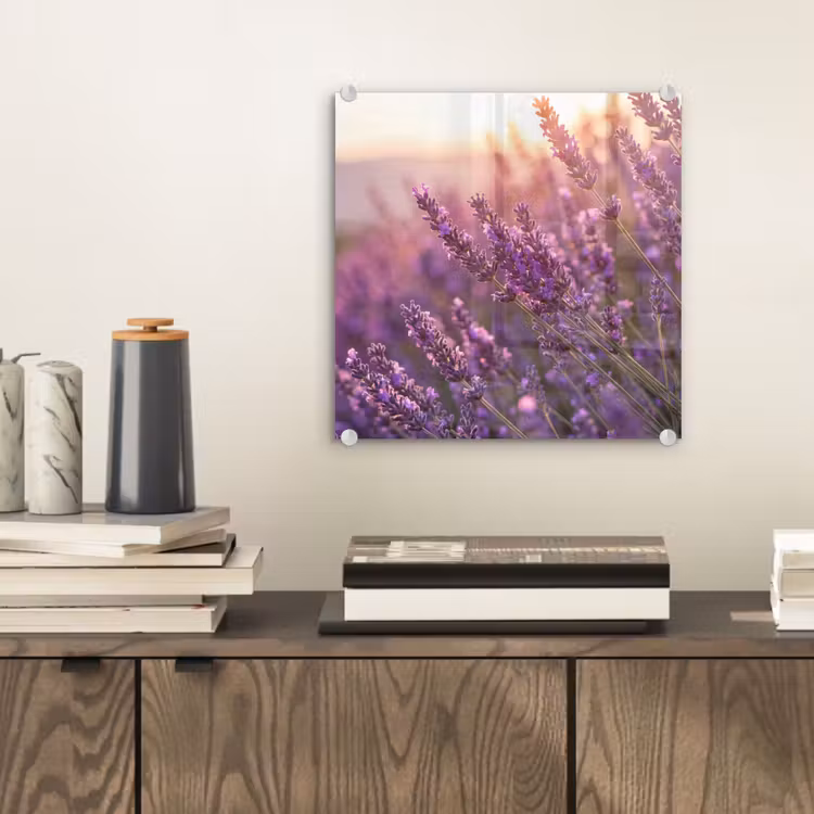 Glas schilderij - Lavendel - Paars - Zonlicht — 2