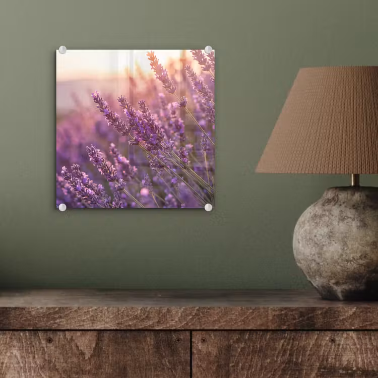 Glas schilderij - Lavendel - Paars - Zonlicht — 4