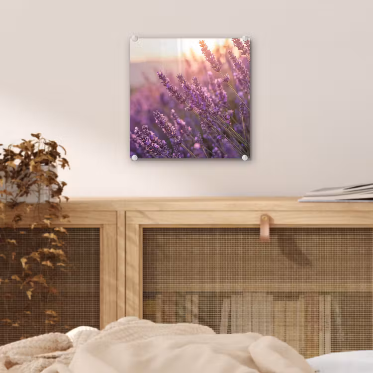 Glas schilderij - Lavendel - Paars - Zonlicht — 5