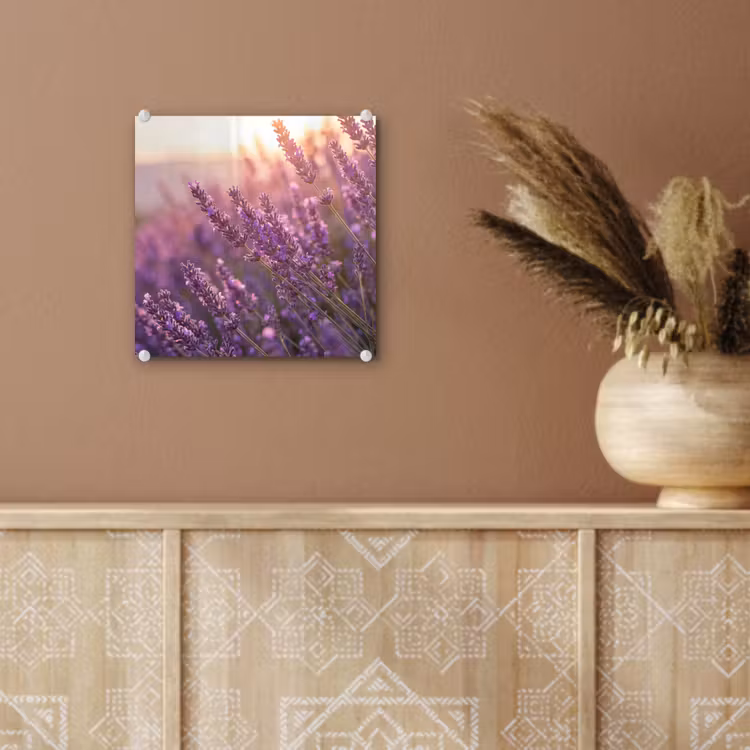 Glas schilderij - Lavendel - Paars - Zonlicht — 6