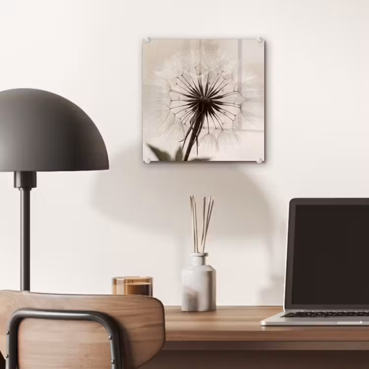 Glas schilderij - Paardenbloem - Minimalistisch - Wit — 7
