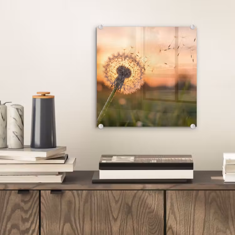 Glas schilderij - Paardenbloem - Zonsondergang - Veld — 2