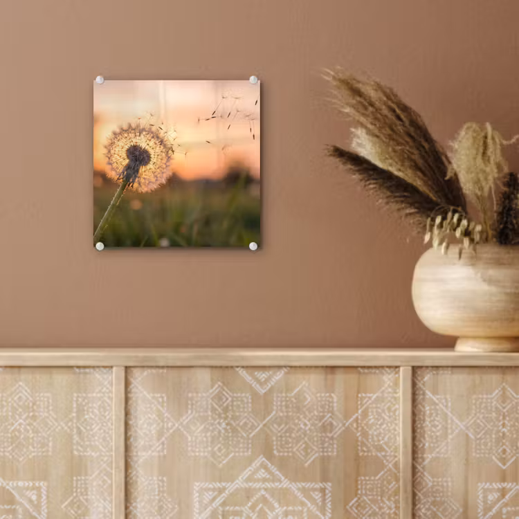Glas schilderij - Paardenbloem - Zonsondergang - Veld — 6