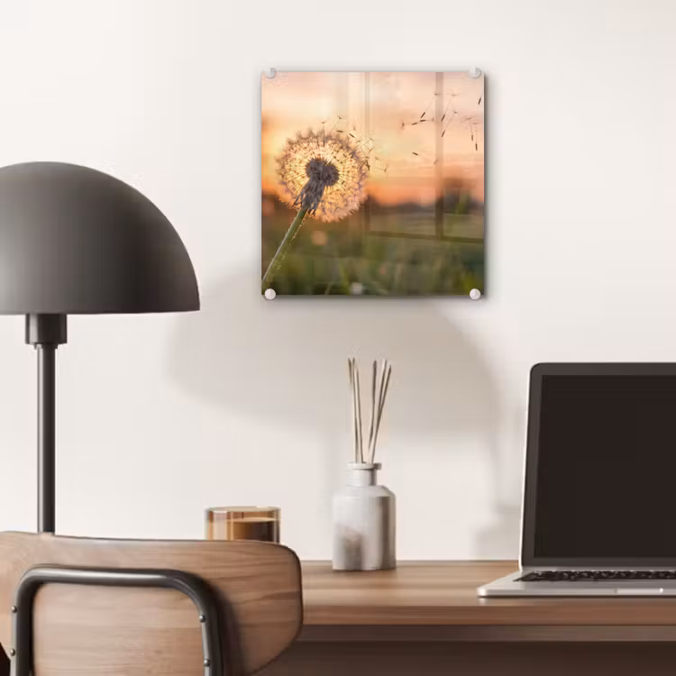 Glas schilderij - Paardenbloem - Zonsondergang - Veld — 7