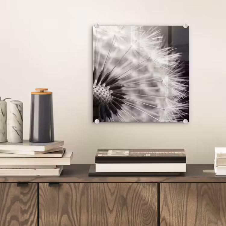 Glas schilderij - Paardenbloem - Zwart - Wit — 2