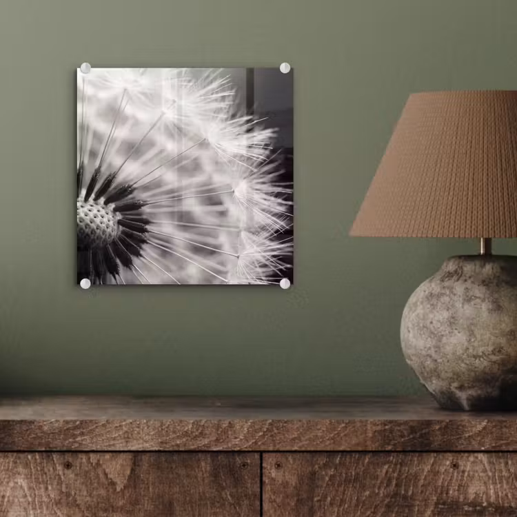 Glas schilderij - Paardenbloem - Zwart - Wit — 4