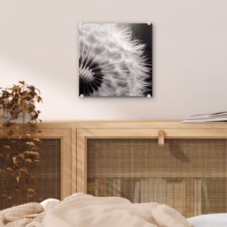 Glas schilderij - Paardenbloem - Zwart - Wit — 5