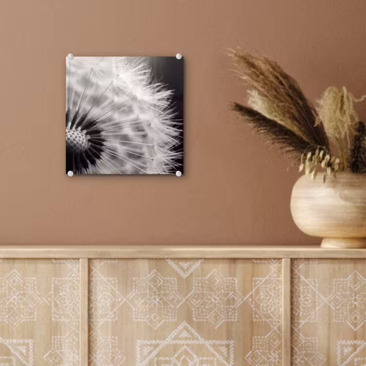 Glas schilderij - Paardenbloem - Zwart - Wit — 6