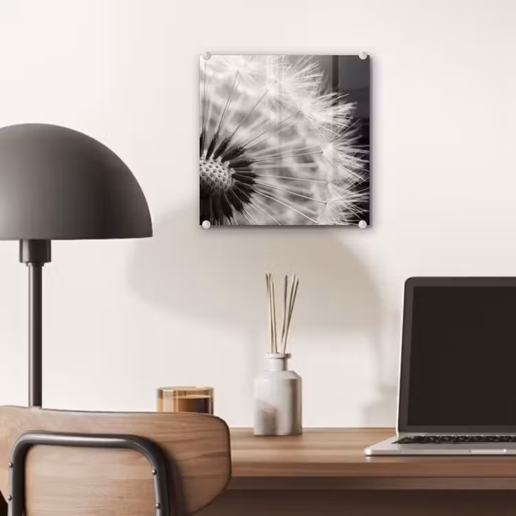 Glas schilderij - Paardenbloem - Zwart - Wit — 7