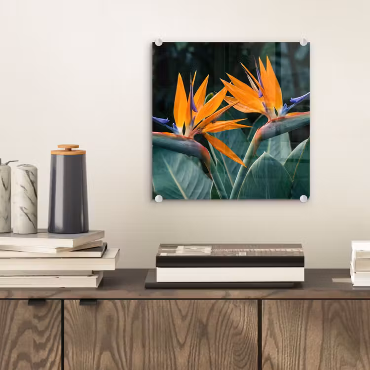 Glas schilderij - Paradijsvogel - Bloem - Exotisch — 2