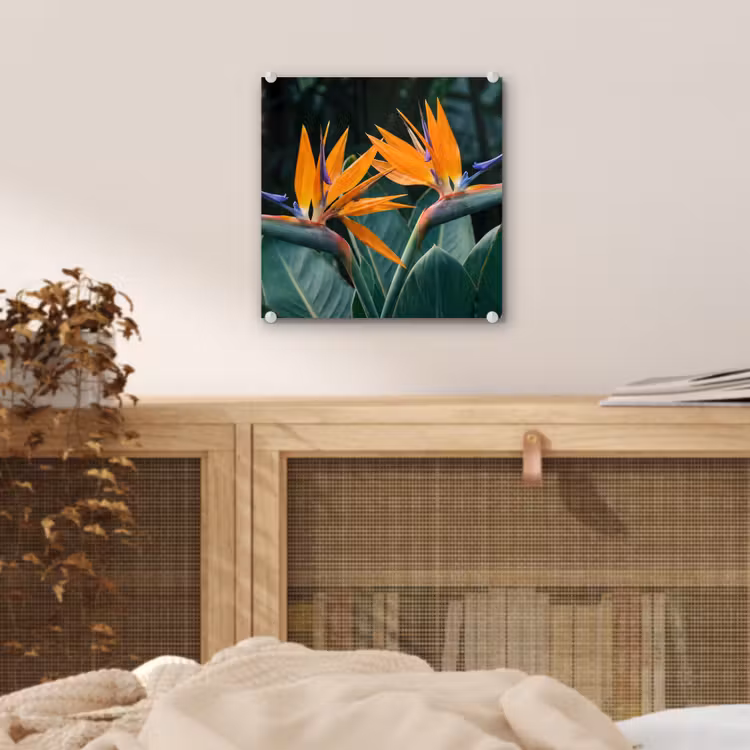 Glas schilderij - Paradijsvogel - Bloem - Exotisch — 5