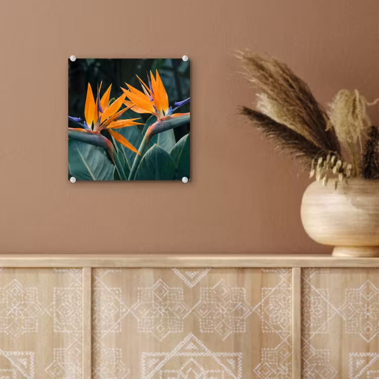 Glas schilderij - Paradijsvogel - Bloem - Exotisch — 6
