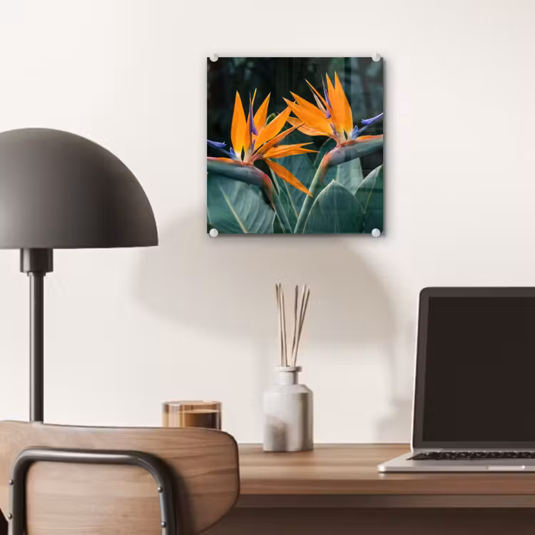 Glas schilderij - Paradijsvogel - Bloem - Exotisch — 7