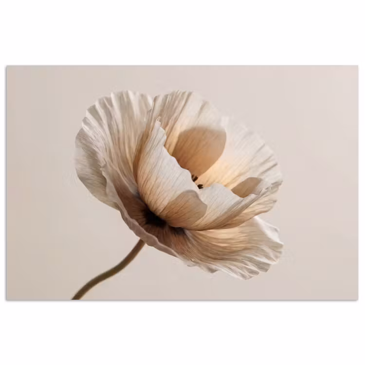 Poster - Bloem - Beige - Crème