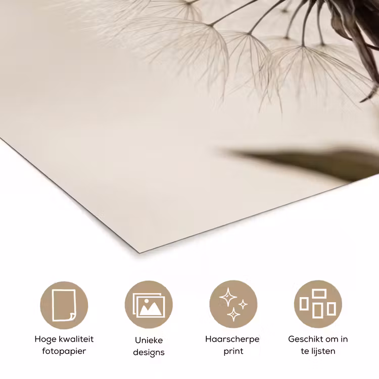 Poster - Paardenbloem - Minimalistisch - Wit — 5