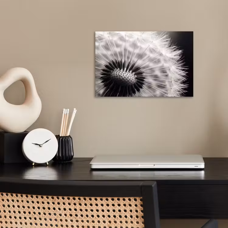 Poster - Paardenbloem - Zwart - Wit — 2