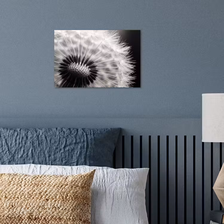 Poster - Paardenbloem - Zwart - Wit — 3