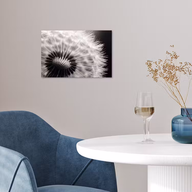 Poster - Paardenbloem - Zwart - Wit — 4
