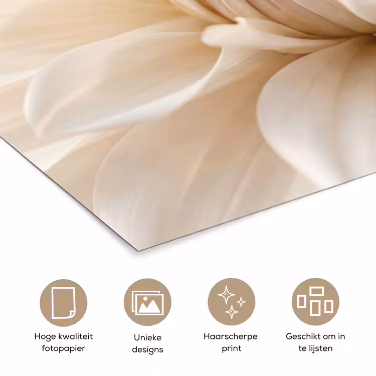 Poster - Bloem - Dahlia - Wit — 5