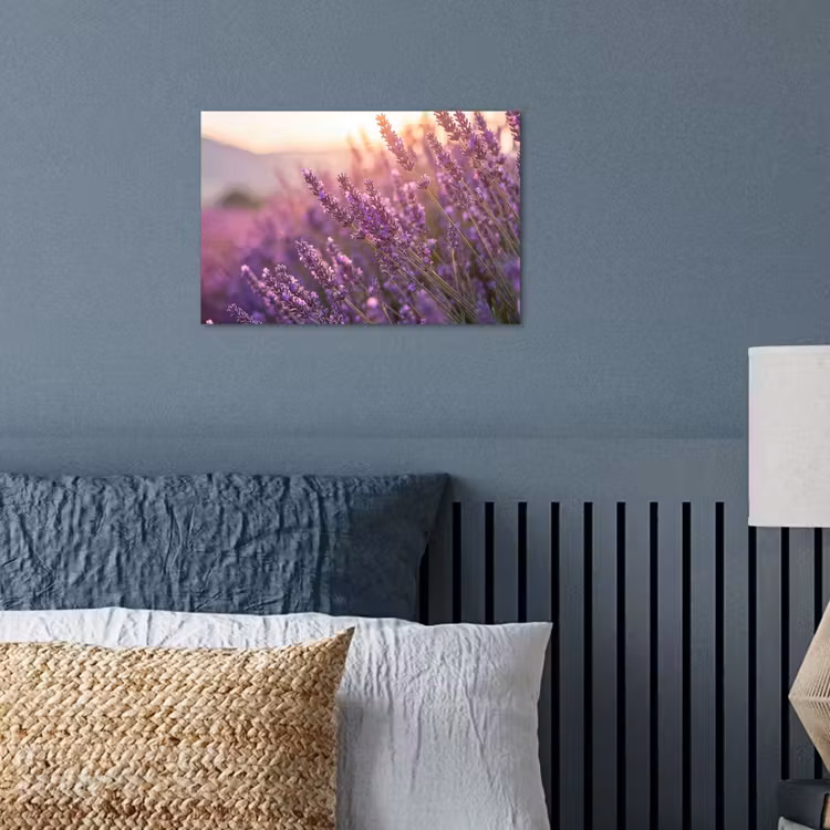 Poster - Lavendel - Paars - Zonlicht — 3