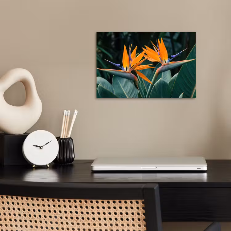 Poster - Paradijsvogel - Bloem - Exotisch — 2