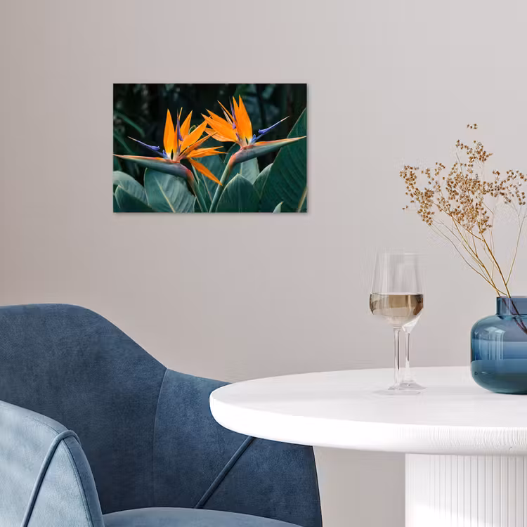 Poster - Paradijsvogel - Bloem - Exotisch — 4