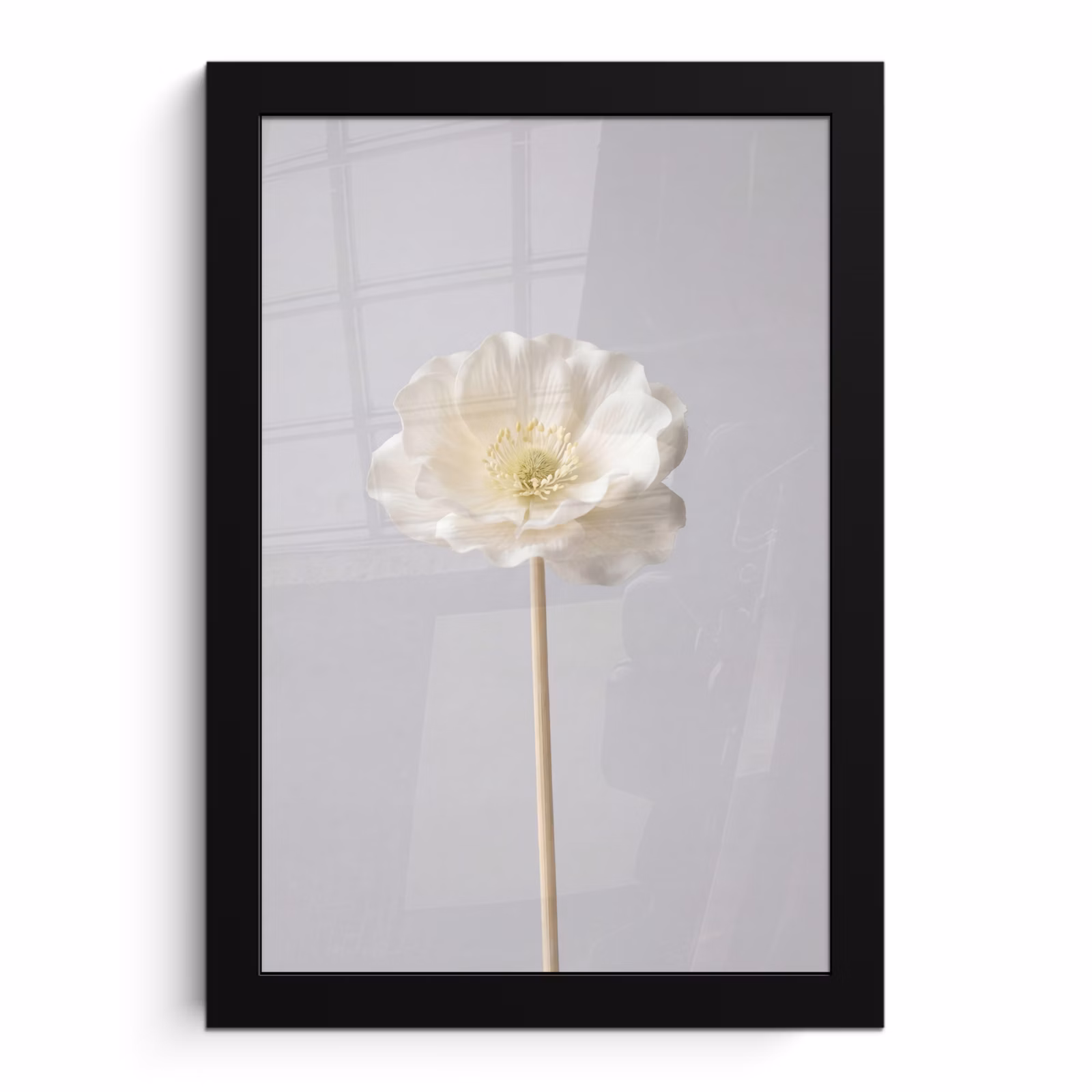Poster met lijst - Witte Bloem — 1