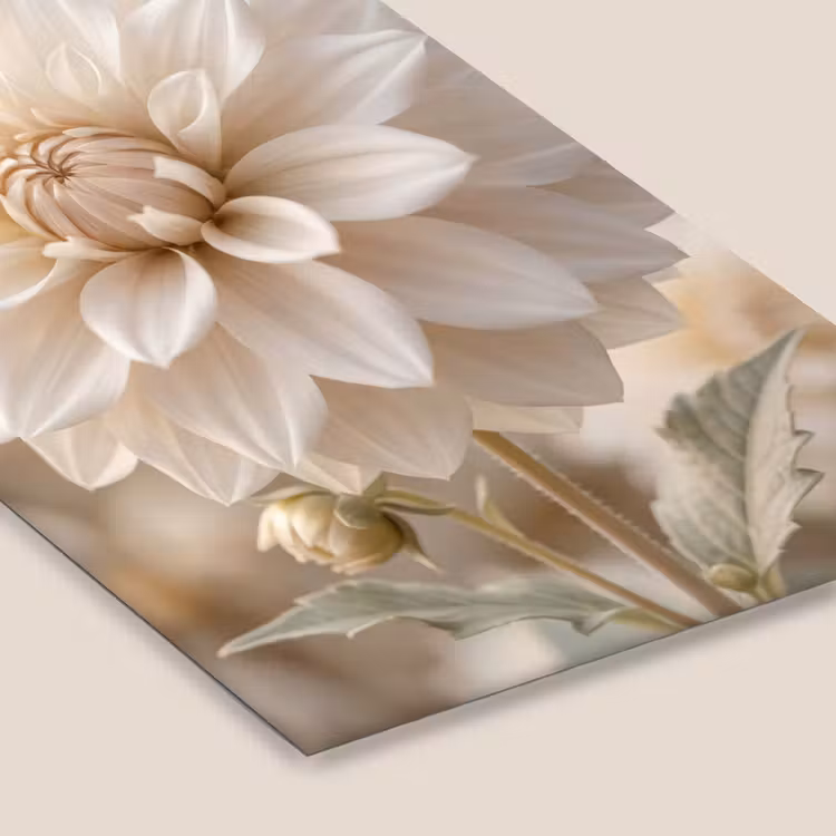 Poster met lijst - Bloem - Dahlia - Wit — 7
