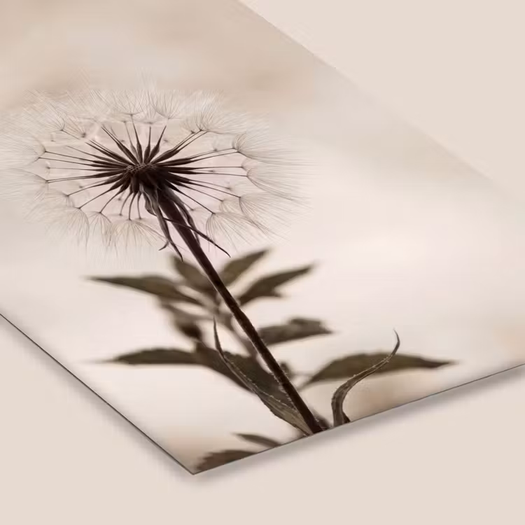 Poster met lijst - Paardenbloem - Minimalistisch - Wit — 7