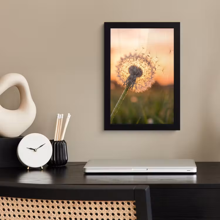 Poster met lijst - Paardenbloem - Zonsondergang - Veld — 2