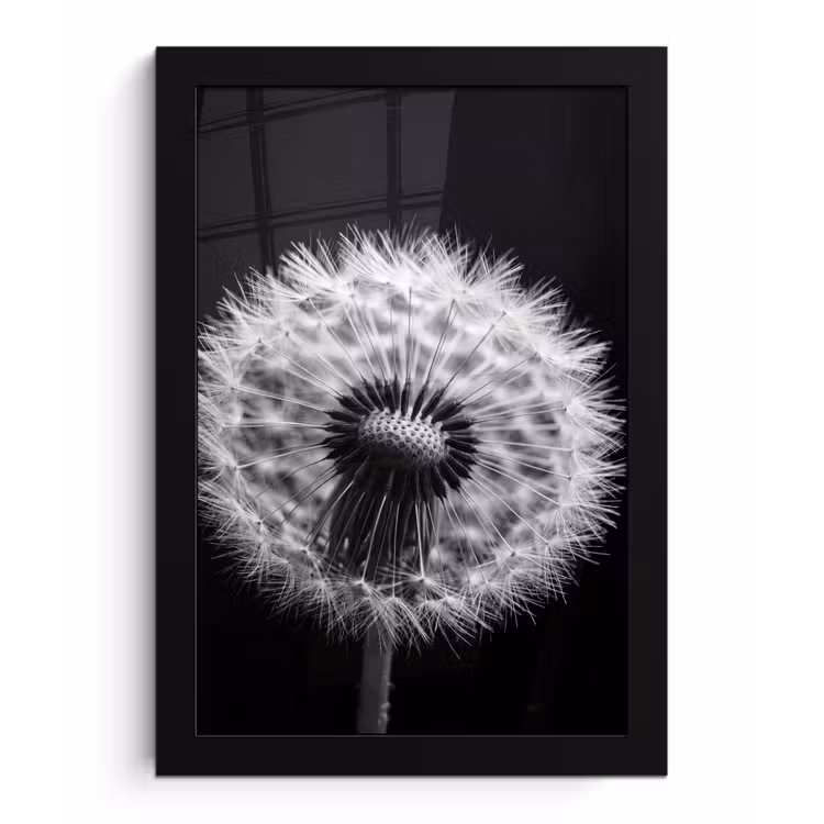 Poster met lijst - Paardenbloem - Zwart - Wit