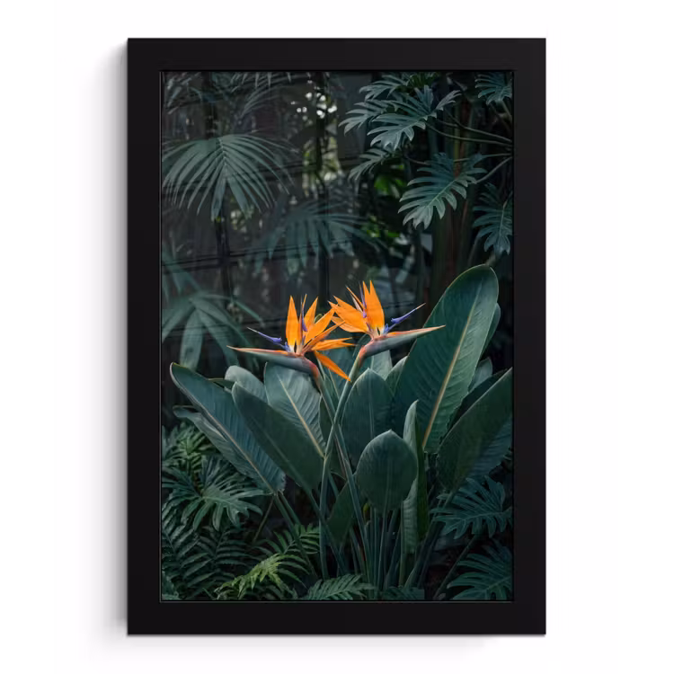 Poster met lijst - Paradijsvogel - Bloem - Exotisch