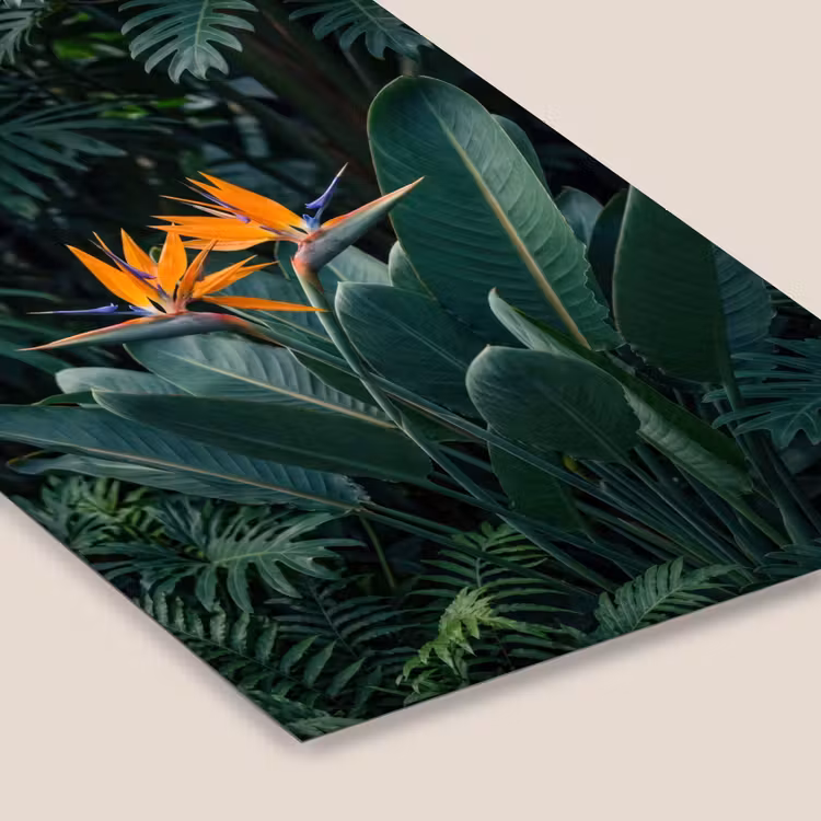 Poster met lijst - Paradijsvogelbloem Groene Bladeren — 7