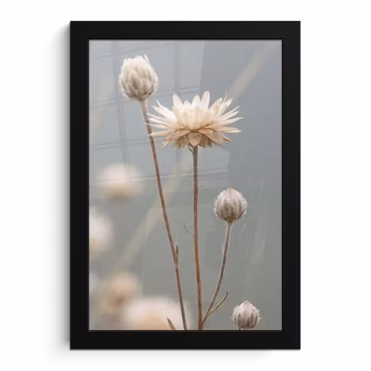Poster met lijst - Beige Strobloemen