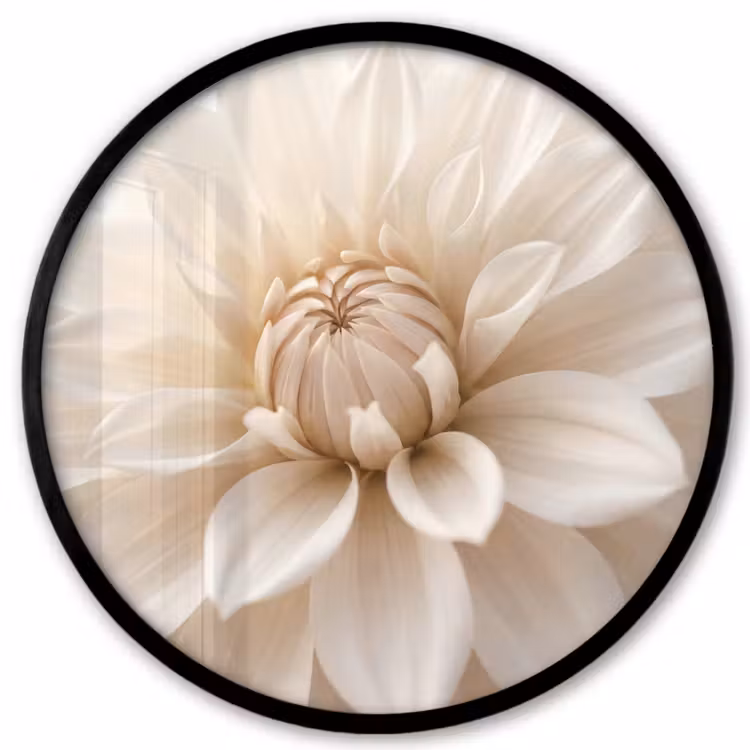 Ronde fotolijst - Bloem - Dahlia - Wit