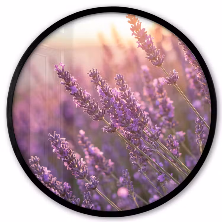 Ronde fotolijst - Lavendel - Paars - Zonlicht