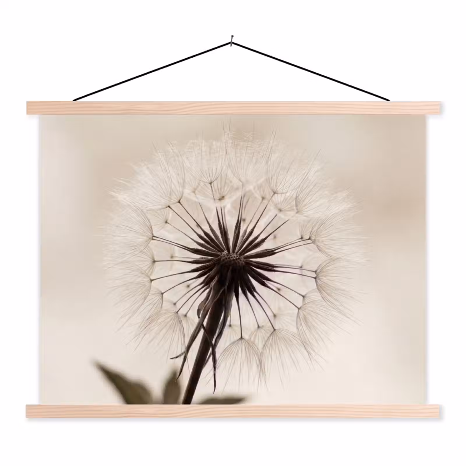 Schoolplaat - Paardenbloem - Minimalistisch - Wit — 1