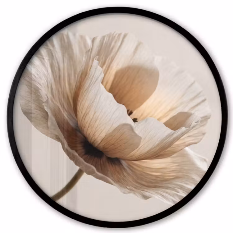 Ronde fotolijst - Bloem - Beige - Crème