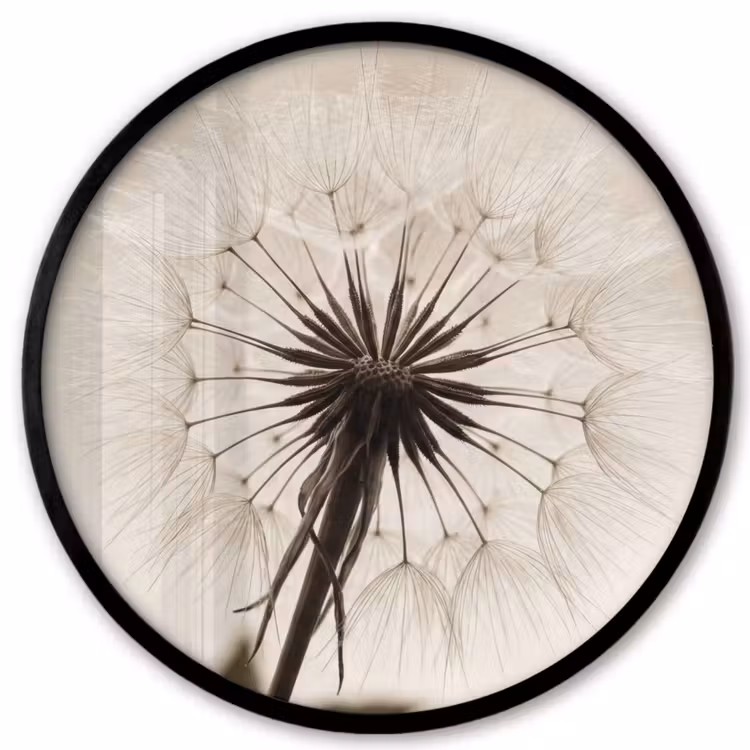 Ronde fotolijst - Paardenbloem - Minimalistisch - Wit