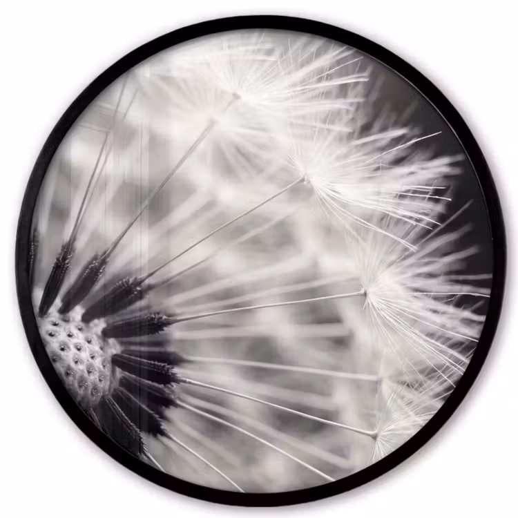 Ronde fotolijst - Paardenbloem - Zwart - Wit